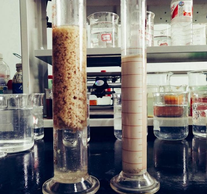 �۱�ϩ�������