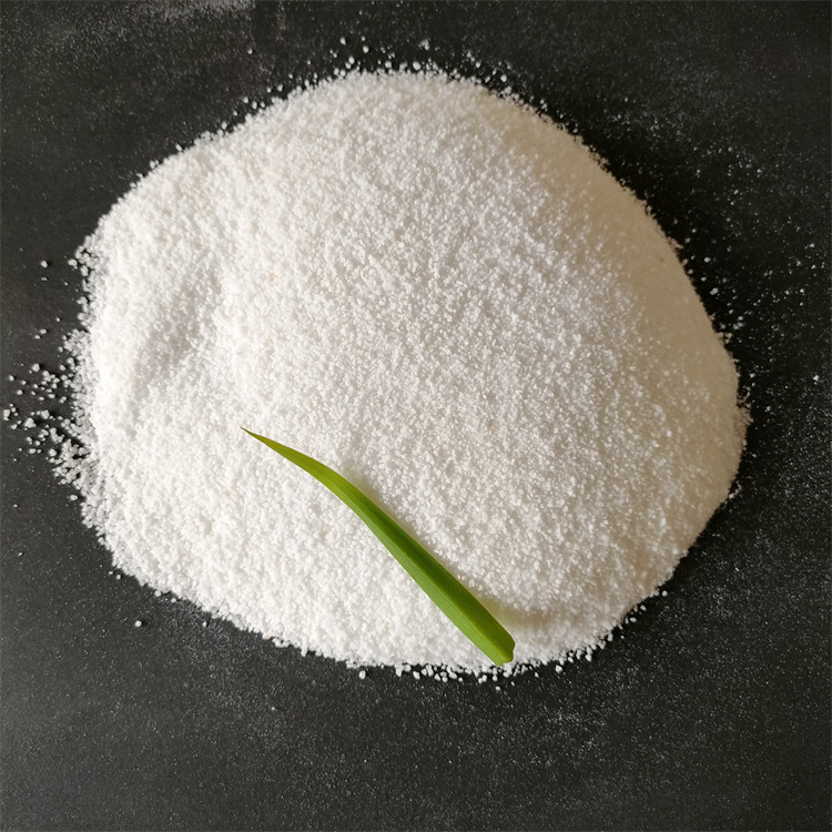 �۱�ϩ����